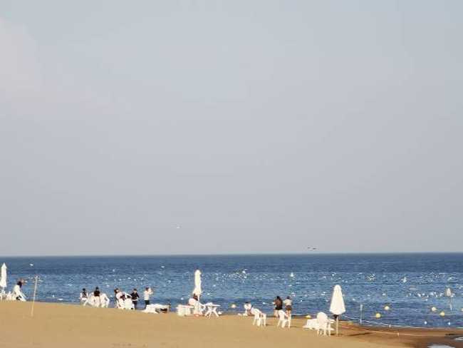 新疆博斯腾湖大河口景点