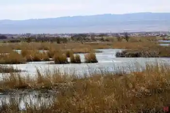 新疆自驾之旅五,图