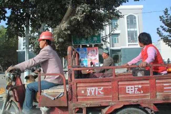 新疆南疆六日游续(五),图二