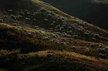 把我们逼上冰达坂,图三