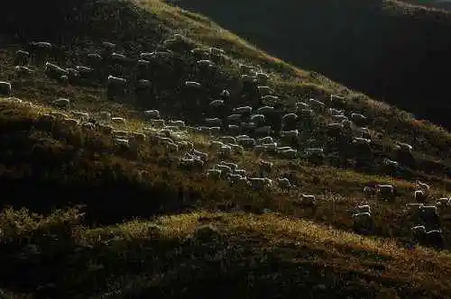 把我们逼上冰达坂