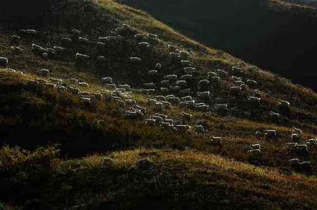 把我们逼上冰达坂,图三