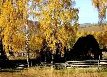 北疆梦幻般的境地,图十八