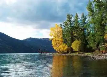 喀纳斯最美的风景线,图十九