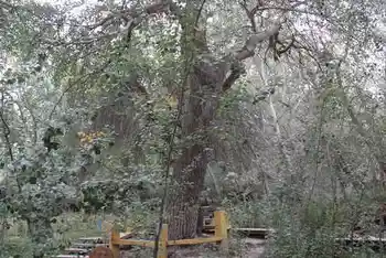 新疆南疆六日游续(六）,图十一