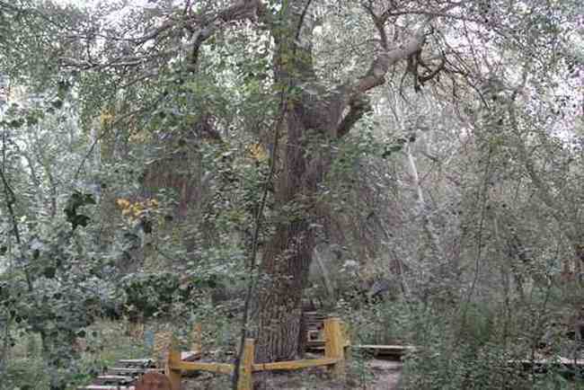 新疆南疆六日游续(六),图十一