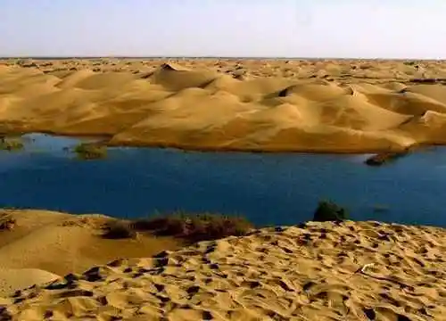 穿越塔克拉玛干 “死亡之海”中感受生命