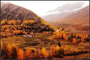 神的自留地--冷暖色的禾木,图二十三