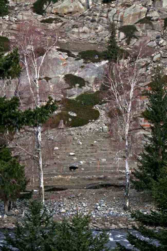 新疆自驾之旅四,图五