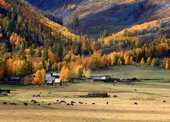 北疆梦幻般的境地,图二