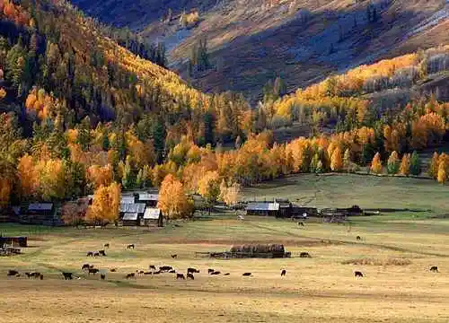 北疆梦幻般的境地