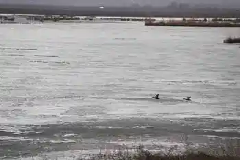 新疆自驾之旅四,图