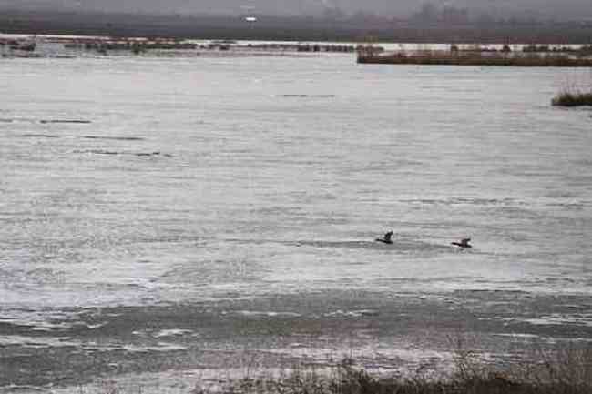 新疆自驾之旅四,图