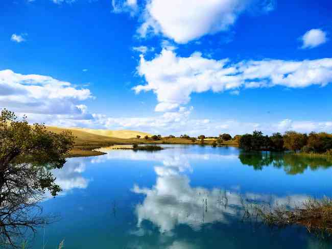 新疆尉犁县葫芦岛,图四