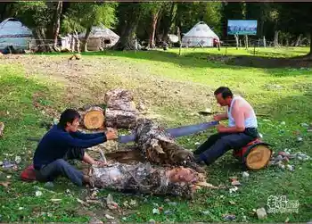 新疆旅游去沙漠看胡杨,图十一