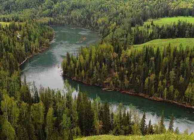 喀纳斯最美的风景线,图十五