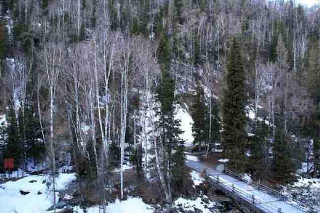 新疆自驾之旅五,图十九