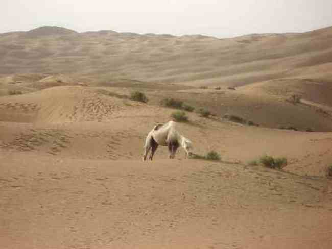 新疆是个神秘的地方,图四