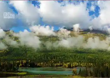 新疆旅游去沙漠看胡杨,图十七