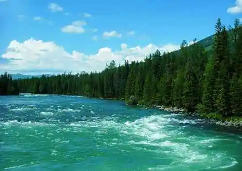 喀纳斯，遗落在人间的仙境