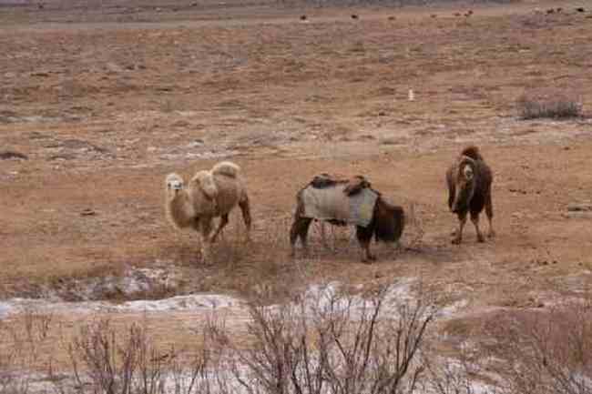 新疆自驾之旅三,图十