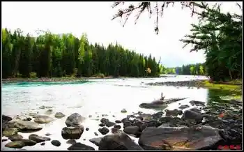 冒雨探访神秘怪异湖——喀纳斯湖（上）,图六