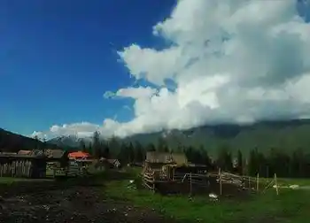 喀纳斯最靓丽的风景线,图十三