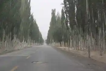 新疆南疆六日游续(六）,图七