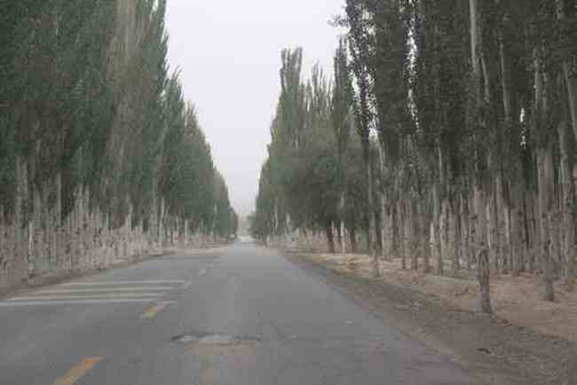 新疆南疆六日游续(六),图七