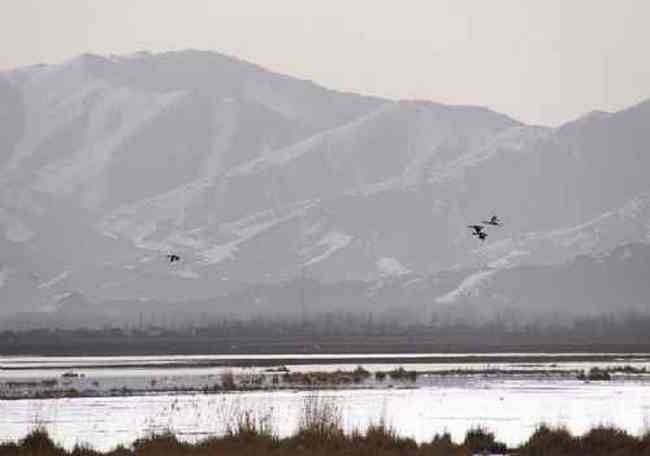 新疆自驾之旅四,图