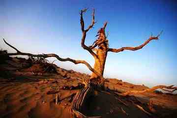 我们站在火焰山前,图十八