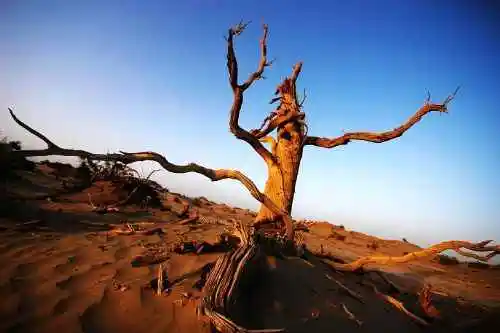 我们站在火焰山前