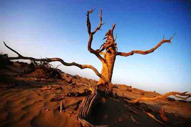 我們站在火焰山前,圖十八