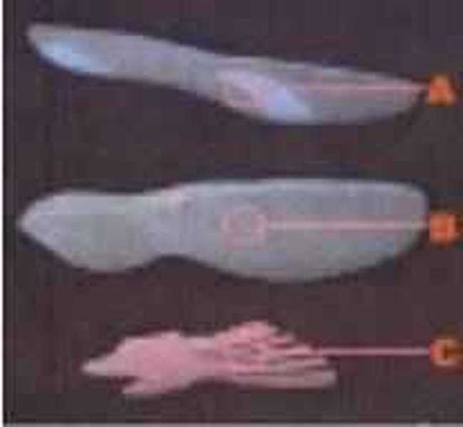 今天你跑酷了吗？Inov-8为跑酷爱好者推出酷跑系列,图二