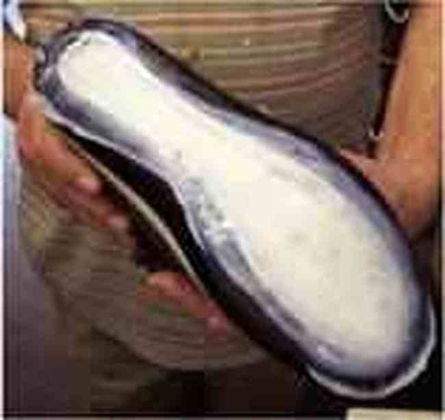 从巴伐利亚到万里长城的HANWAG(二),图三