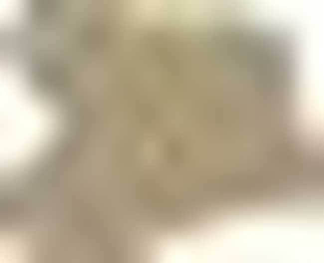 激情成就梦想体验玩转户外戈尔装备秋冬新品,图十三