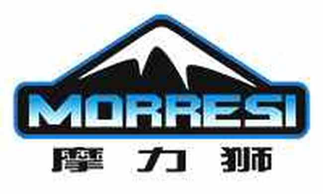 MORRESI（摩力狮）品牌高帮登山靴介绍,图一