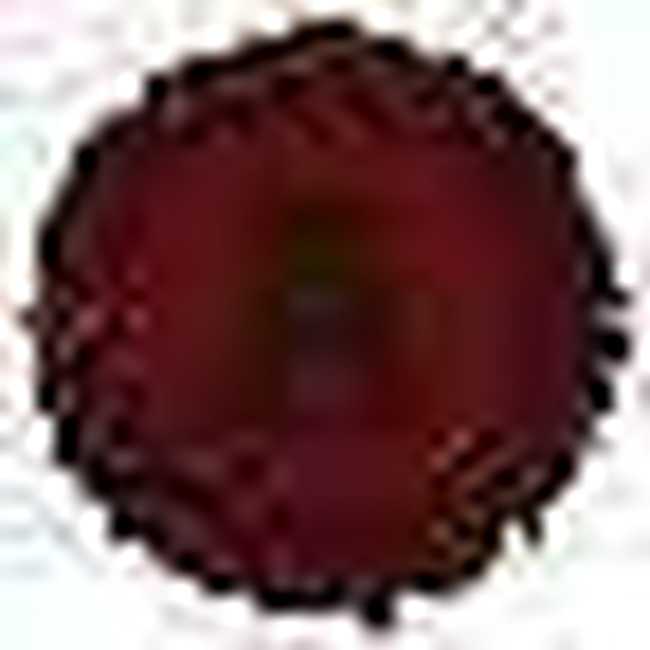 从巴伐利亚到万里长城的HANWAG(二),图十四