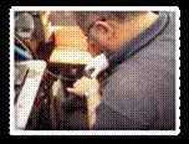 从巴伐利亚到万里长城的HANWAG(二),图六