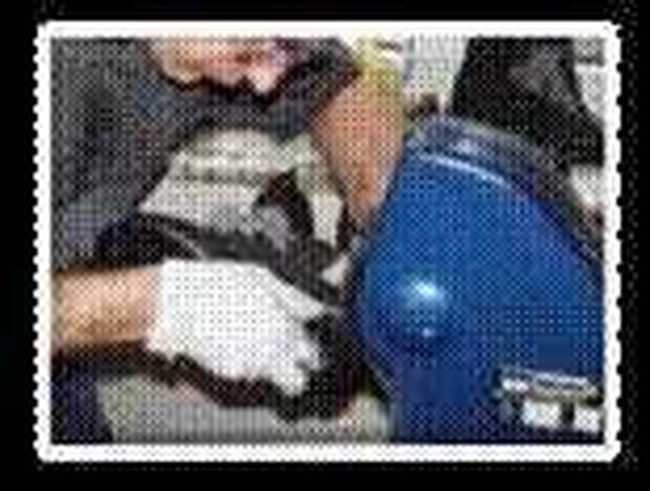 从巴伐利亚到万里长城的HANWAG(二),图五