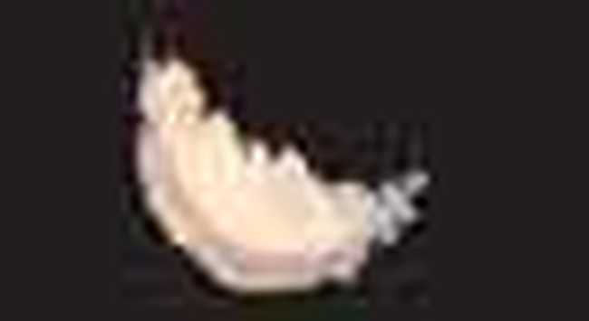 寒冷冬季Fjallraven（北极狐）永远与成功者相伴,图二