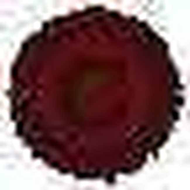 从巴伐利亚到万里长城的HANWAG(一),图