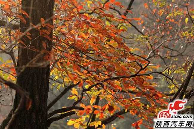 自驾十大随身“利器”为你保驾护航