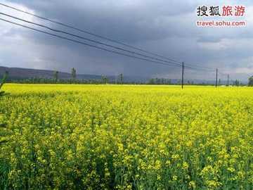 最爽的夏天 西宁旅游攻略,图一