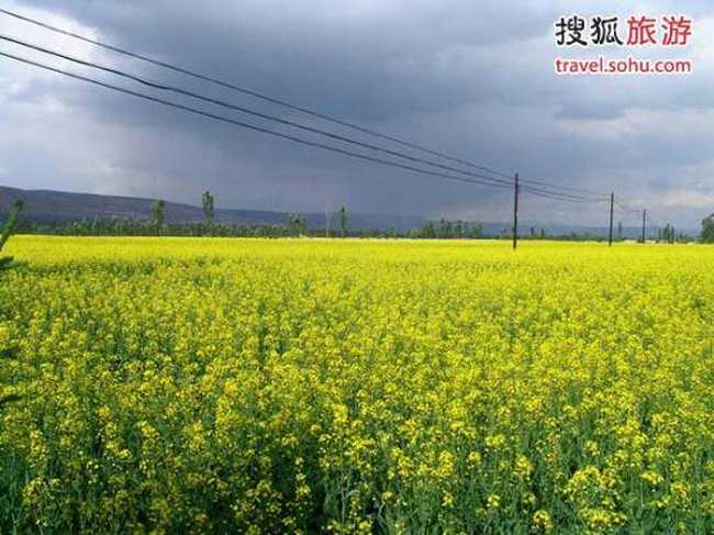 最爽的夏天 西宁旅游攻略,图一