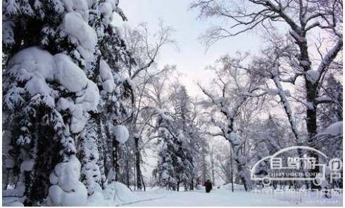 自驾游中国雪乡的超实用自驾游攻略,图四