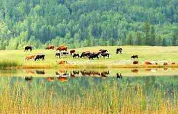 新疆自驾旅游应该注意的事项,图六