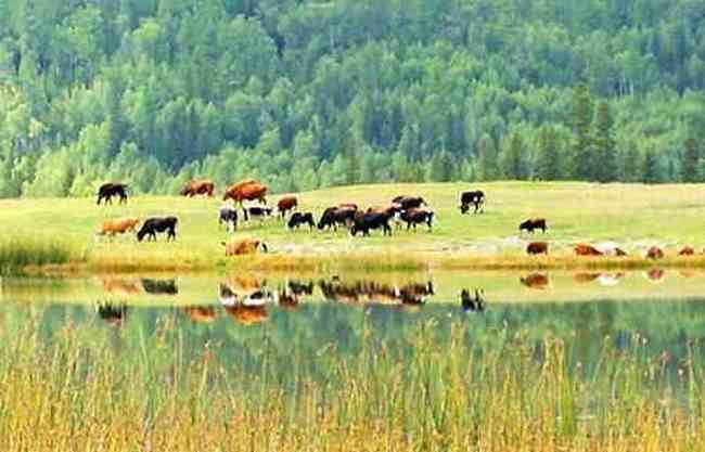 新疆自驾旅游应该注意的事项,图六