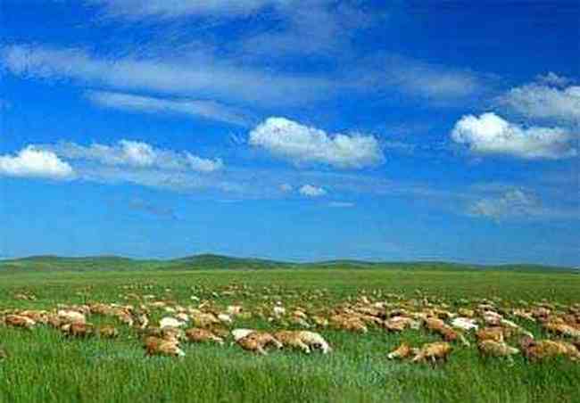 新疆旅游自駕攝影線路介紹,圖三