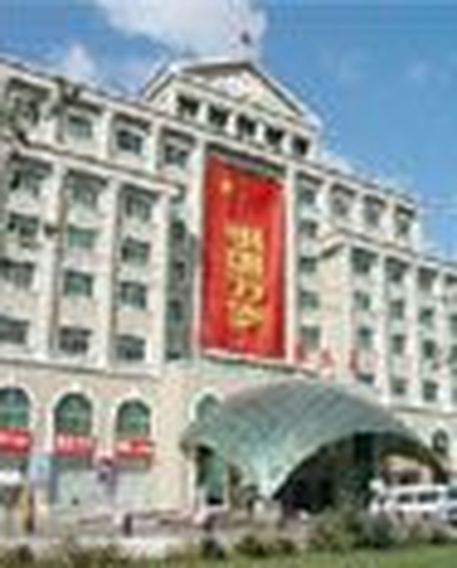 鹤岗飞鹤商务大厦,图一